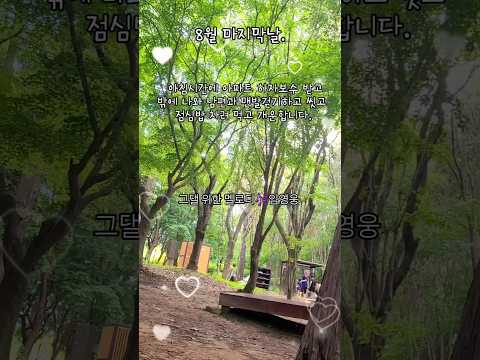 Middle Aged Couple Routine Walking Path Melody For You Lim Young Woong S New Song