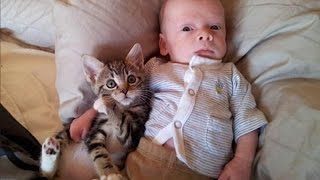 Cats and babies are best friends – Cute baby & cat compilation