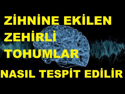 ZİHNİMİZDEKİ TOHUMLAR... SENİN ZİHNİNE HANGİ TOHUMLAR EKİLDİ (insagram canlı yayın kesiti)