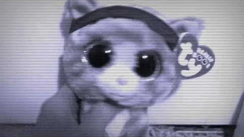 "For the First Time in Forever" Fan Video