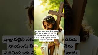 #jesus #love praise the lord too all 🙏
