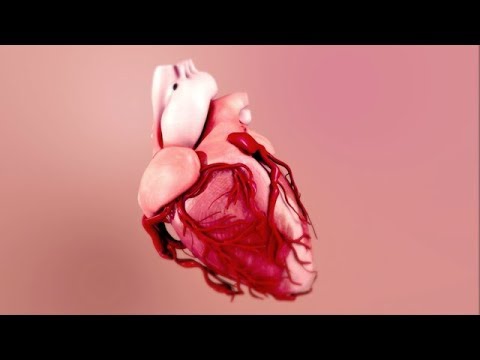 ImaValve - Seducing the heart to repair itself