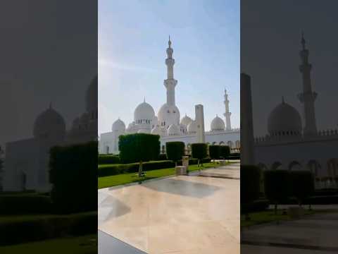 Beautiful mosque in Dubai grand mosque#shorts#youtubeshorts#viralshort