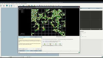 How to tile-stitch and deconvolve large field-of-view microscopy images with Huygens Software