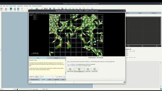 How to tile-stitch and deconvolve large field-of-view microscopy images with Huygens Software