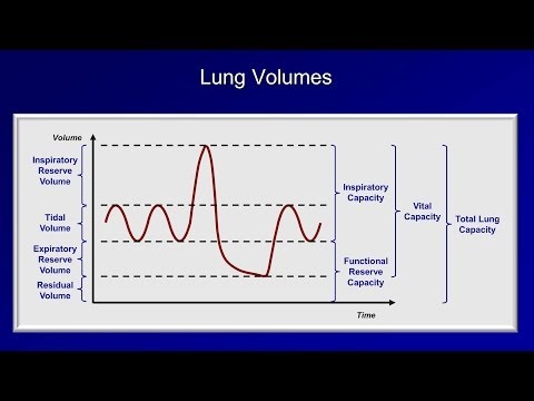 Pulmonary Function Test Results Chart