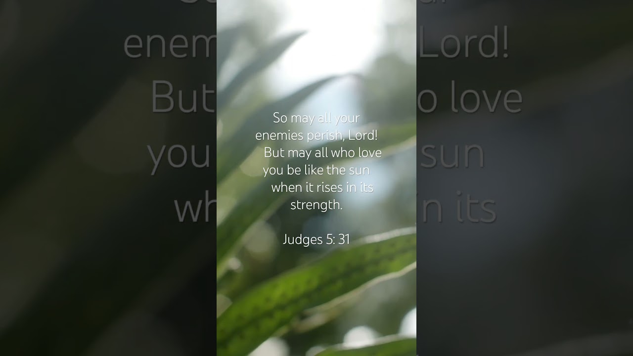 Judges 5: 31 ☁️🥖✨ 