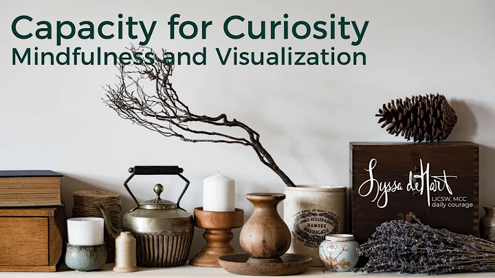 Capacity for Curiosity Visualization