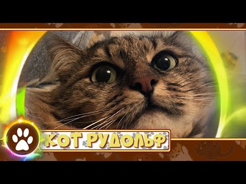 Кадры из фильма Черный кот: Рудольф