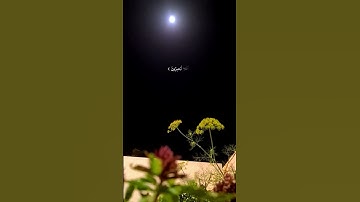 تلاوة خاشعة القارئ الشيخ سعود الشريم (كَانُوا قَلِيلا مِنَ اللَّيْلِ مَا يَهْجَعُونَ)