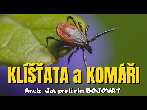 Video: Co Jedí Komáři V Lese?