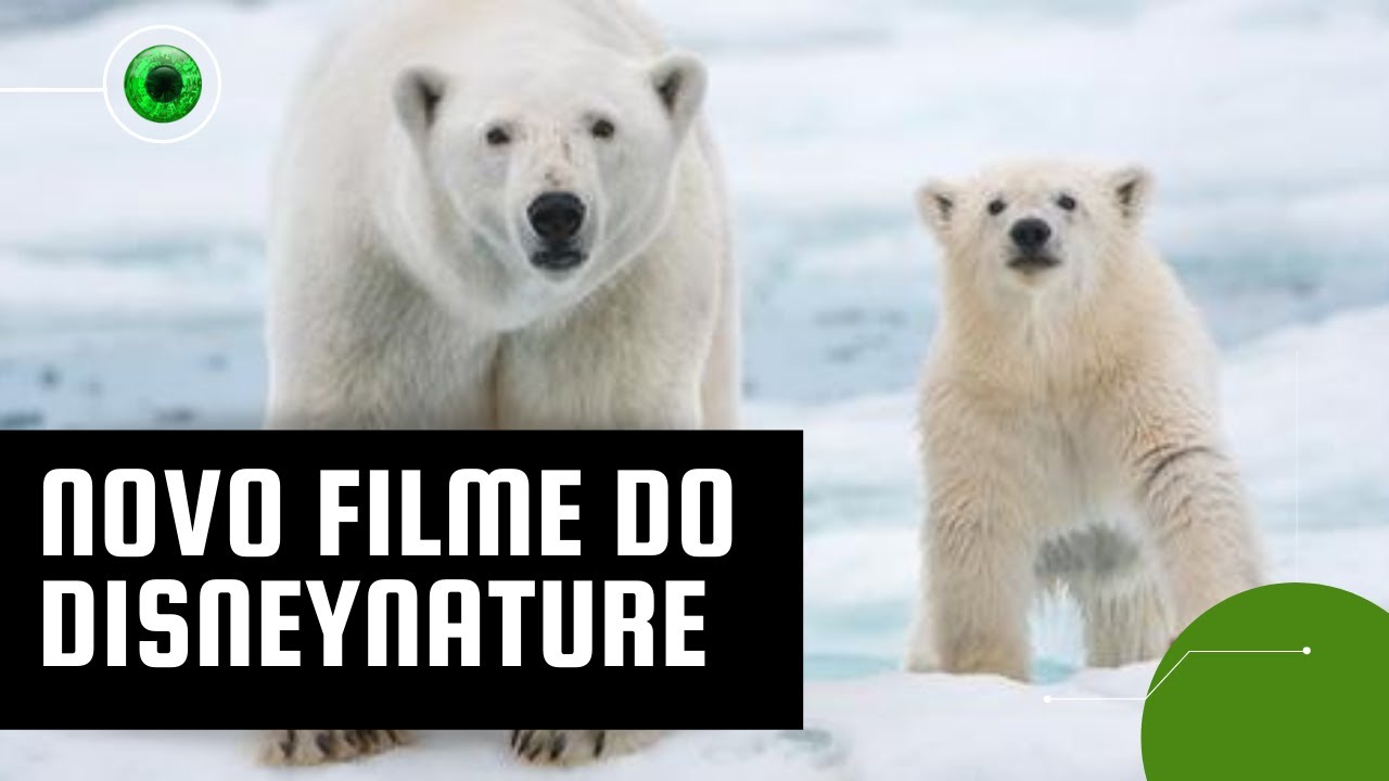 A Ursa Polar - Filme 2022 - AdoroCinema