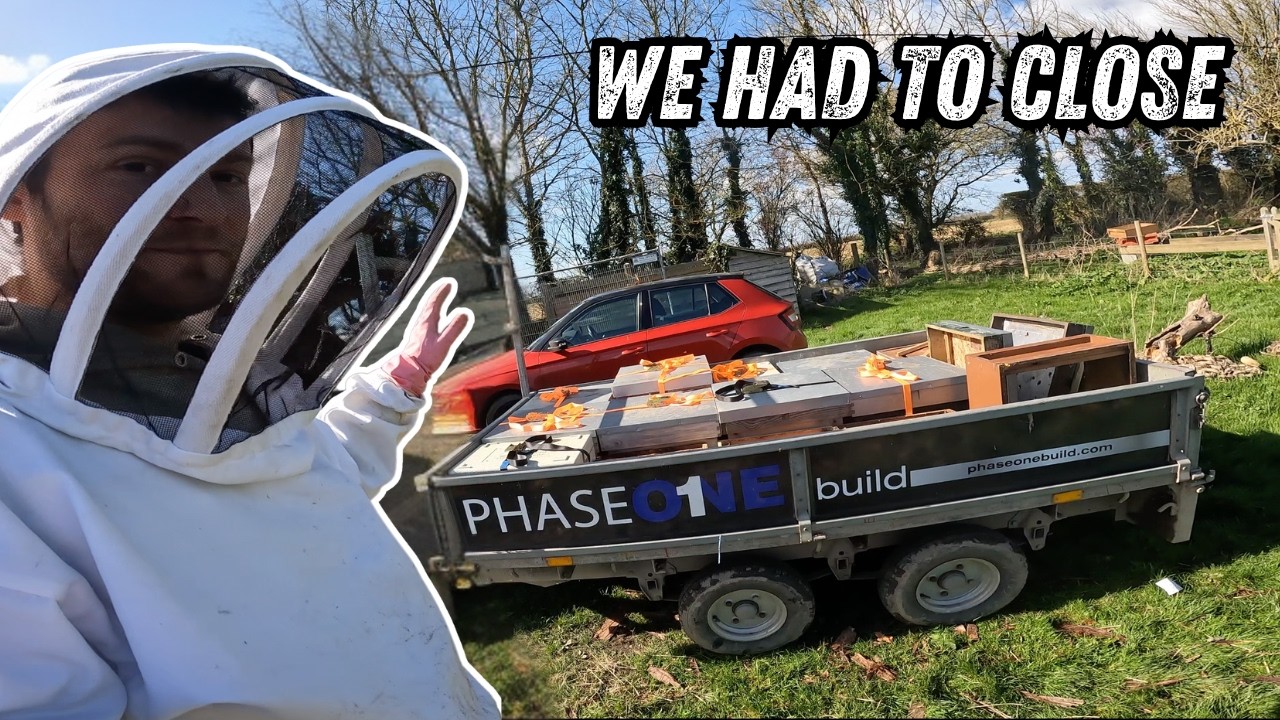 Beekeeper had to Close Down! - YouTube