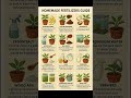 Most Beneficial Homemade Fertilizer #trending #shorts #viralvideo #learnadaybyisha @HaoRenXiaoChou