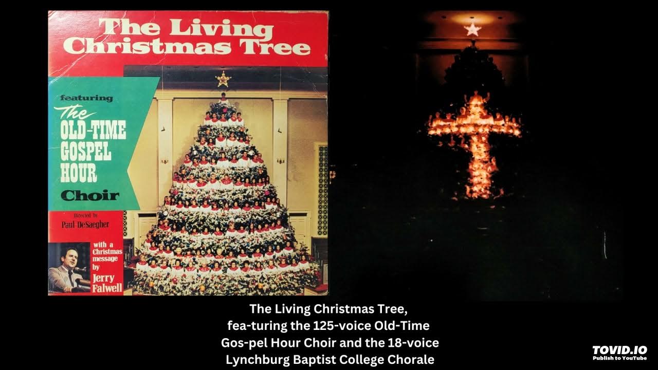 The Living Christmas Tree Vinyl Album YouTube
