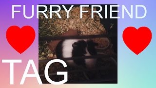 FURRY FRIEND TAG (Feat. MY GUINEA PIG ARIEL)