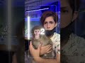 遂にジブリデビューしました!!I made my Ghibli debut!! #shorts #animals