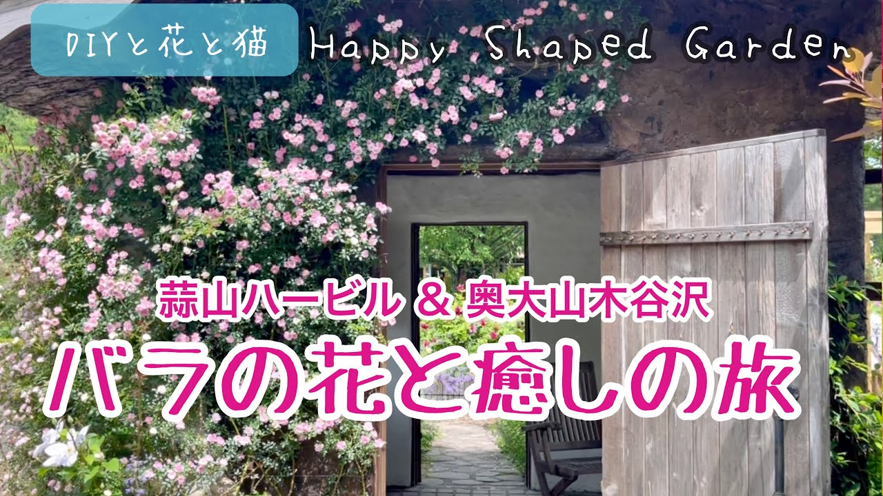 バラの花と癒しの旅｜岡山県蒜山『ハービル』と鳥取県奥大山『木谷沢』で自然とのふれあい￼￼￼￼
