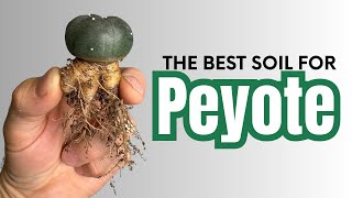 Creating the Best Soil for Peyote