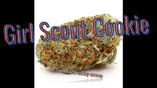 www.Deltona-Hemp.com |  100% Legal Hemp Buds