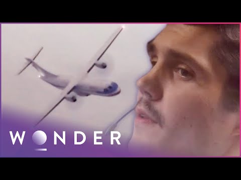 FROZEN WINGS DOWN AMERICAN EAGLE FLIGHT 4184 IN CHICAGO | MAYDAY