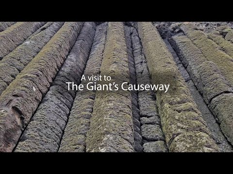 Visiting The Giant's Causeway | James Parker Sculpture