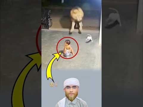 اقترب الأسد بخطوات تهز الأر لكن حين أبصر الطفل توق ف كأنه تذك ر الرحمة لايك اكسبلور 