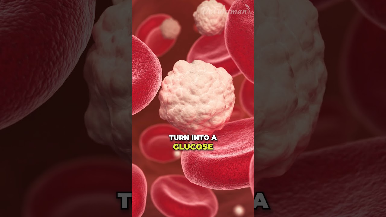 🍞 How Your Diet Affects Insulin Levels and Cancer Risk | Dr. Joel Fuhrman 