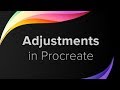 Procreate Tutorial for Beginners - Adjustments and Image Effects (pt 6)