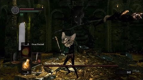 Stray Demon - SL1 No Sprint/Roll/Block/Parry/Rings/Flawless