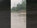 Ditarik 2 buah perahu motor...!