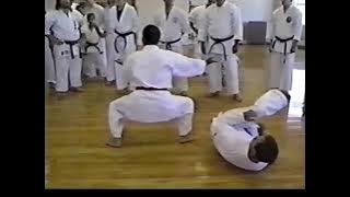 Seikichi Iha Sensei 1995 Seminar