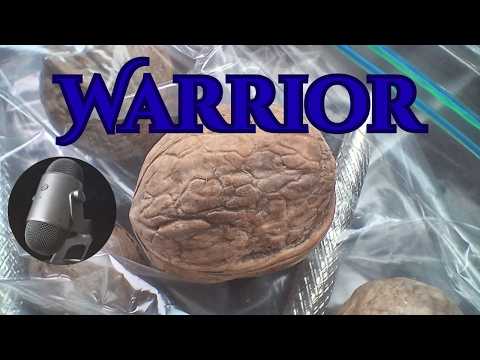 The Warrior's Soul | Whisper Wednesday | Episode 4