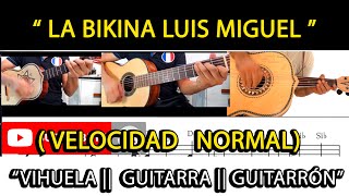 LA BIKINA  LUIS MIGUEL || VIHUELA  || GUITARRÓN || GUITARRA