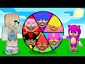 HANGİ RENK SHİN SONİC ÇARKINI ÇEVİRMELİYİM - 😱 Minecraft