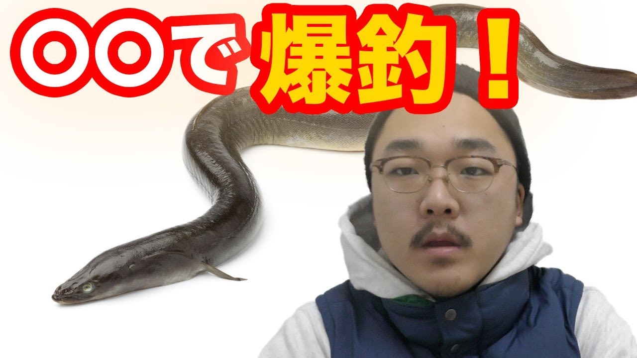 魚図鑑 ウナギ 投げ釣り 釣り方仕掛けワームで場所は ミミズで釣る Youtube