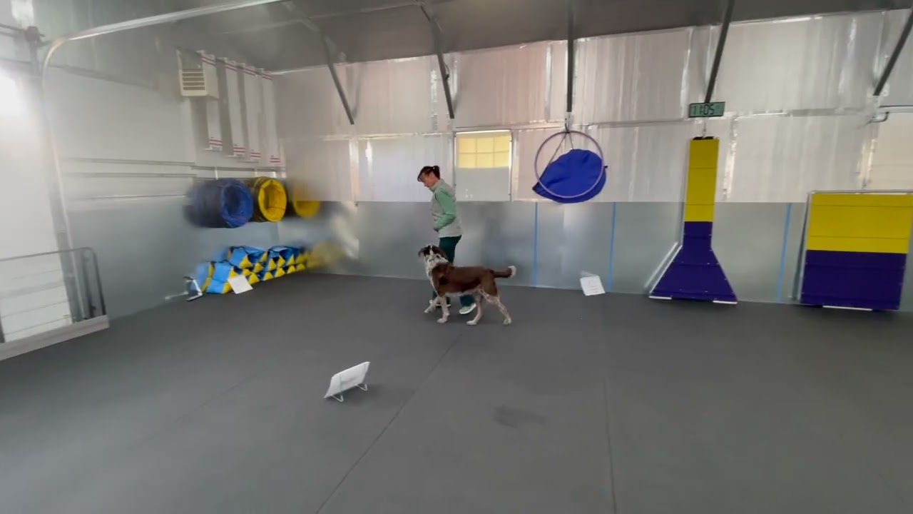 2026 RFE TMG PreNov Rip and Laurie