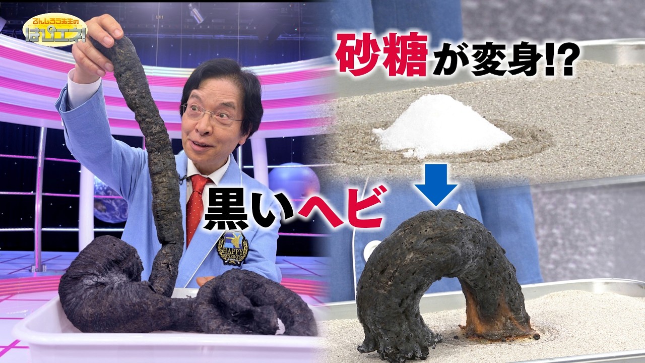 砂糖が変身！？ 黒いヘビ/ Sugar Transforms into a Black Snake?! *Audio in EN / DE / FR / PT / ES