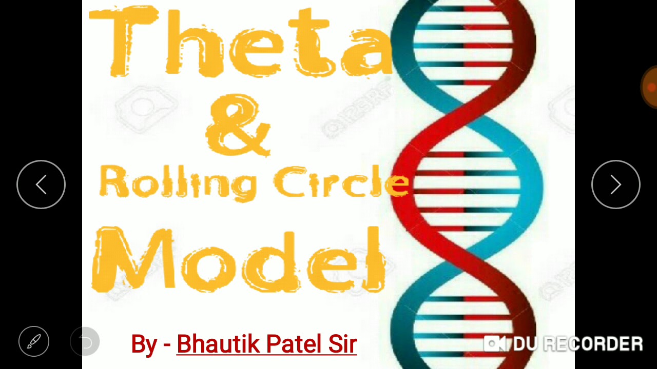 Theta Model And Rolling Circle Model Dna Replication By Bhautik Patel Sir Youtube