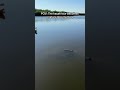 Kayak tour