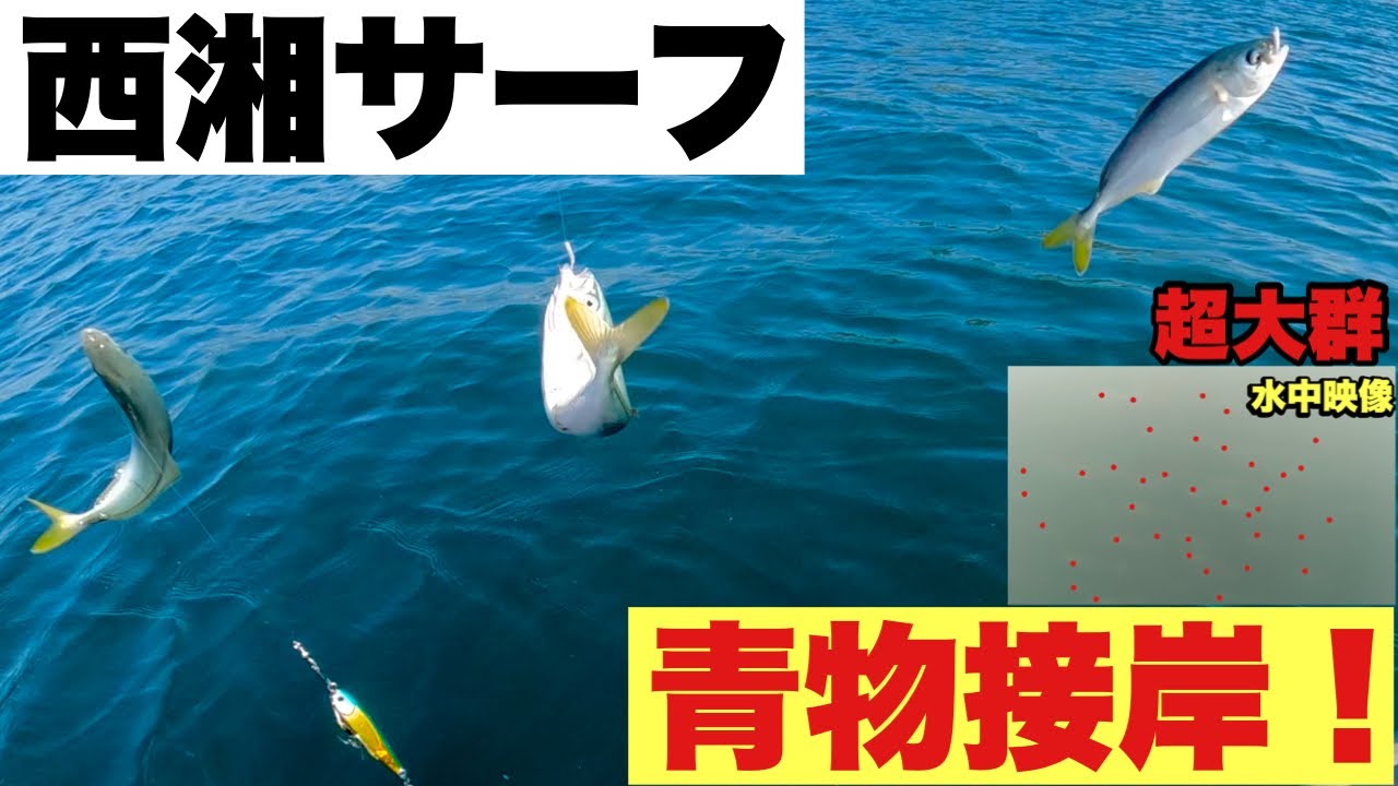西湘サーフ青物開幕！ワカシ来てます！ジグサビキで入れ食い！ - YouTube