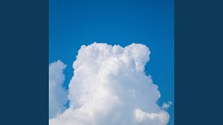 White Shirt - 유씨(yussi)