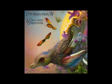Dymensions - "A Delicate Creature"