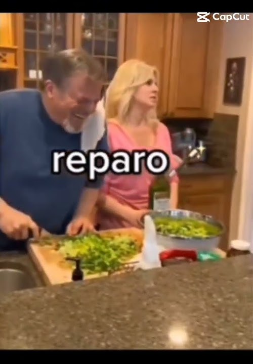 repro🪄🪄🪄🪄🪄