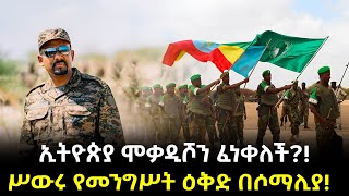 ሥውሩ የመንግሥት ዕቅድ በሶማሊያ ተረክ ሚዛን Salon Terek