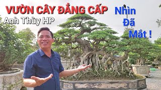 TOÀN CẢNH vườn cây RẤT NHIỀU THAY ĐỔ * QUÁ XUẤT SẮC * của anh THÙY HP .