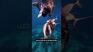 Nay xuống biển luôn cho máu #luoidaohoangda #sinhton #sinhtonduoibien
