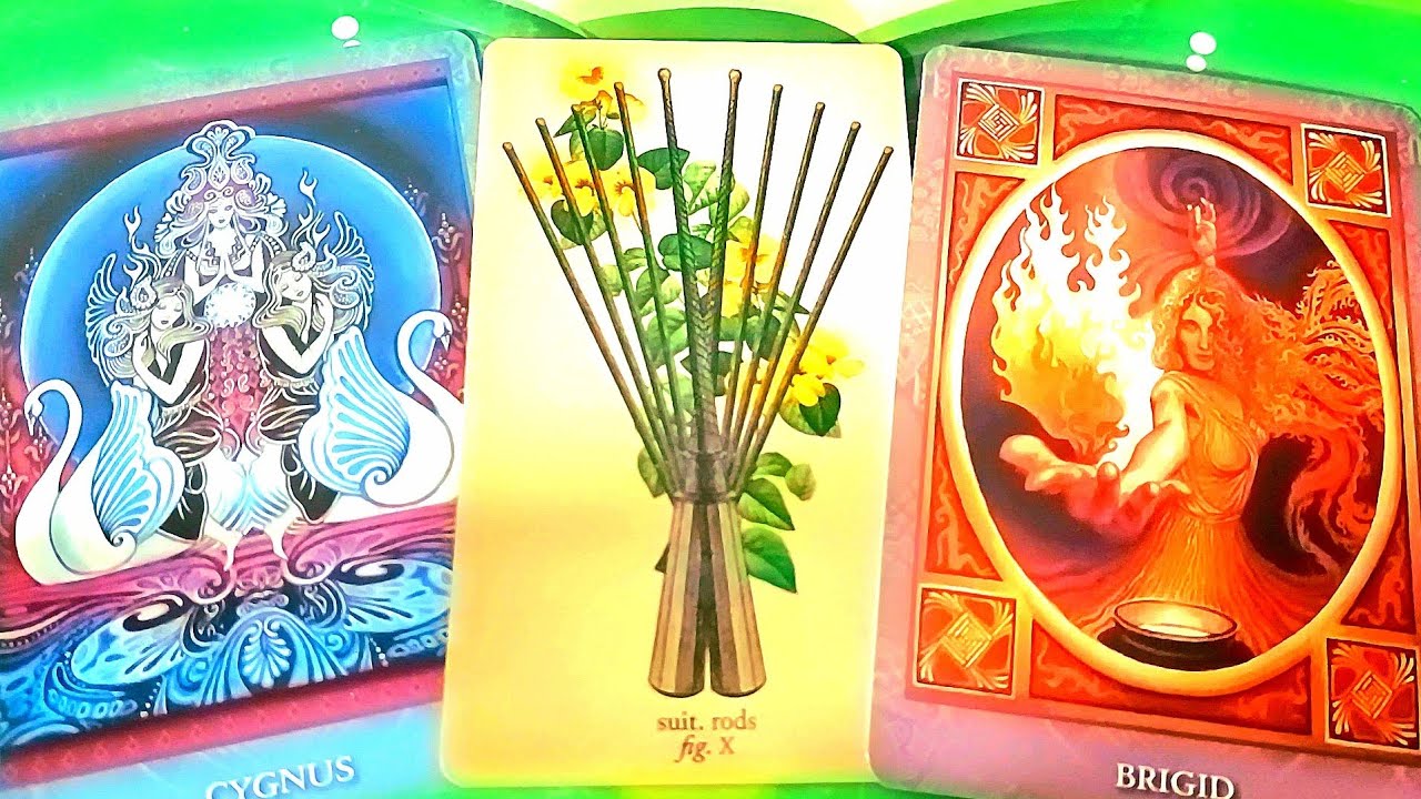 FAN HÂM MỘ BẠN, HỌ LÀ AI / TAROT READING