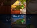 BOHOT ROO CHUKI HAI SAKINA|13 SAFAR|NOHA 2025|HUSSAINI AZADARI POINT|