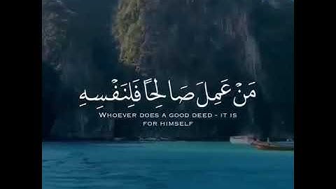 تلاوه خاشعه | للقارئ سالم الرويلي | حالات واتس اب دينيه♥♥.